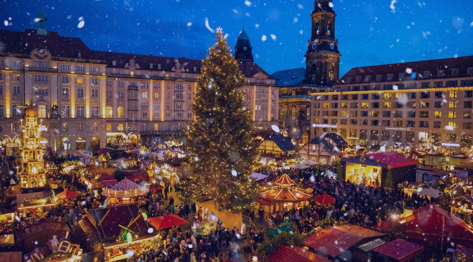 Weihnachtsmarkt mit festlich geschmücktem Weihnachtsbaum auf einem beleuchteten Stadtplatz.